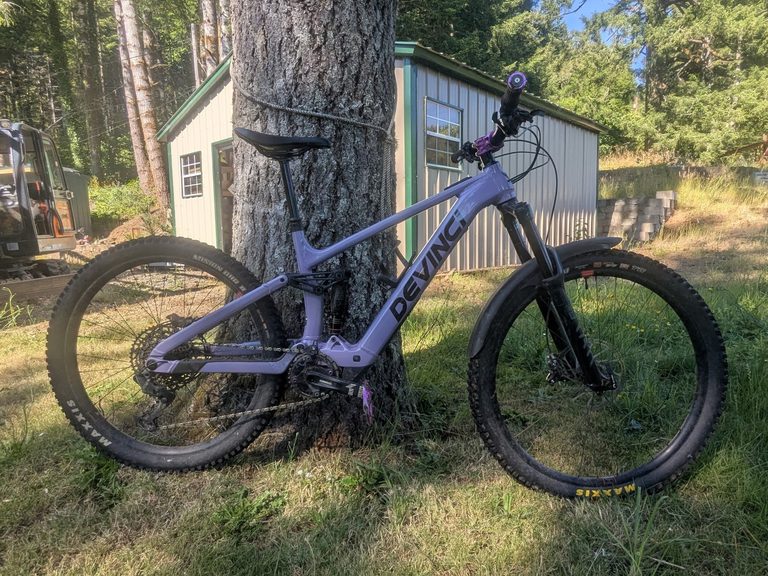 Sarah's DeVinci