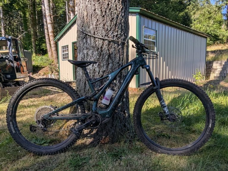 Lily's Turbo Levo SL
